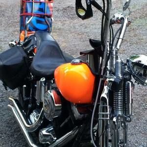 Meet your Posher, Terry